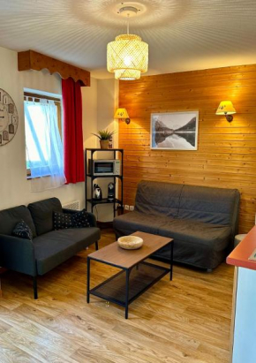 Charmant appartement confortable pour 6 personnes 40m2 pied pistes, wifi, parking